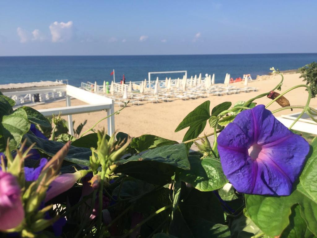 Magia Del Salento Hotel Torre San Giovanni Ugento Bagian luar foto